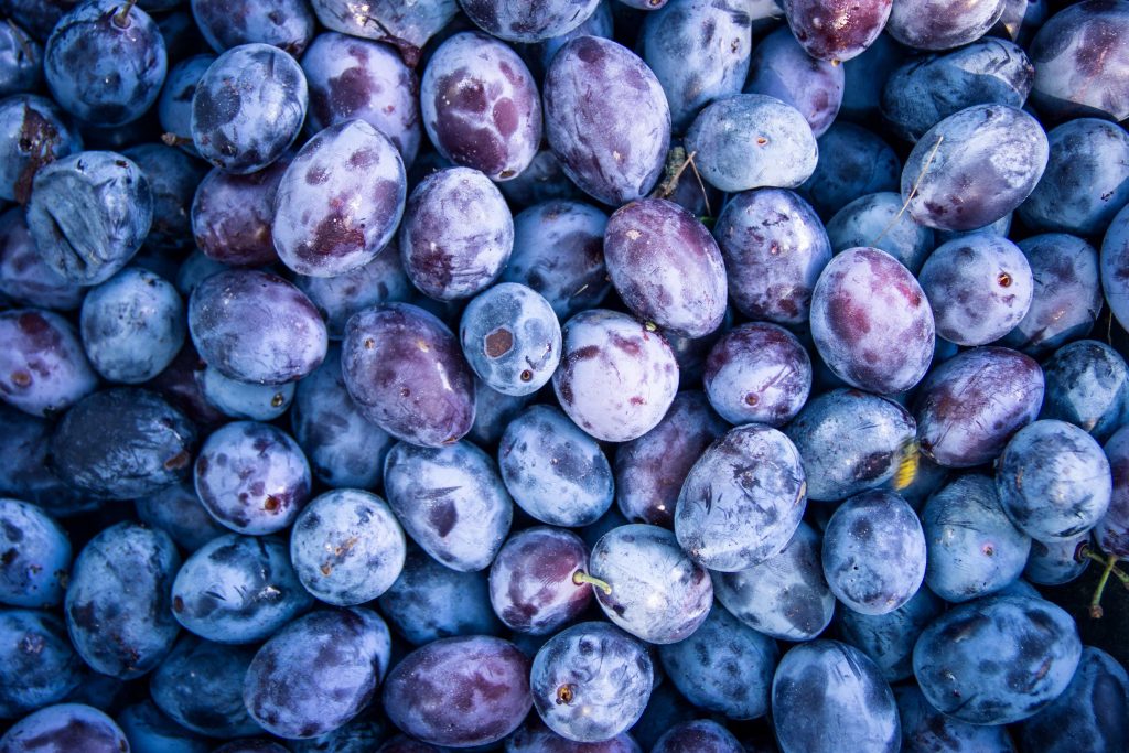 Assalto al Verde Campano: Agriturismi in Overbooking per il Ponte del 1° Maggio