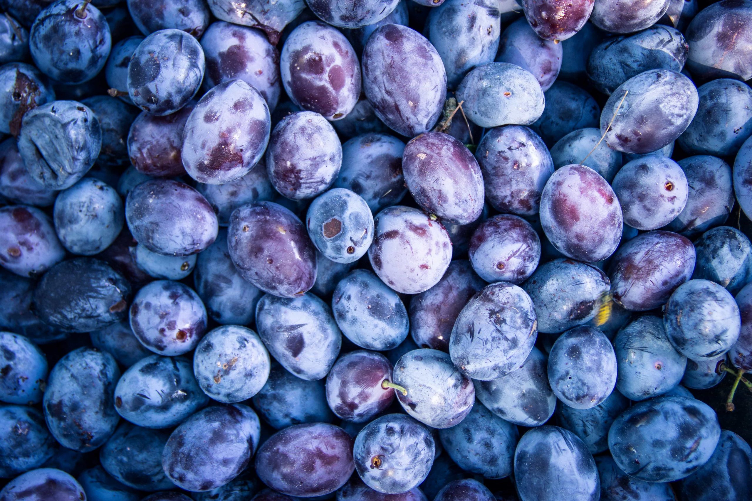 Assalto al Verde Campano: Agriturismi in Overbooking per il Ponte del 1° Maggio