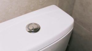 Sciacquone - pexels - retesei