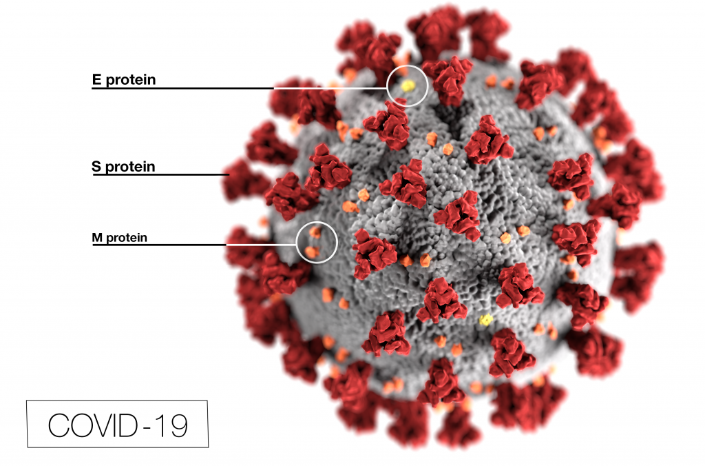 Efficacia della Vaccinazione COVID-19 in Italia: Dati Nazionali Confermano Riduzioni Significative di Infezioni, Ricoveri e Decessi