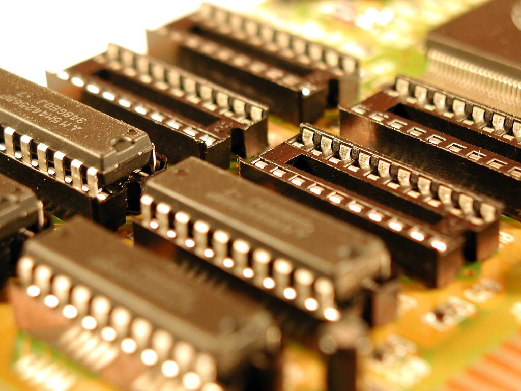 Puglianello: Giornata del Microchip Gratuito per la Tutela dei Cani il 10 Aprile