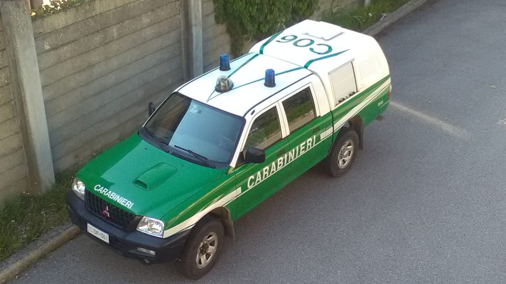 Stretta sull’Edilizia Abusiva: I Carabinieri Forestali Deferiscono Cinque in Irpinia