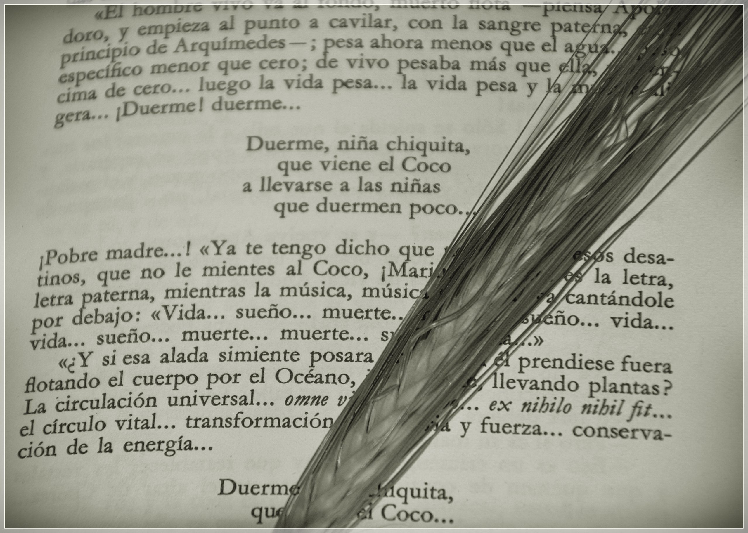 Un Duplice Impulso per l’Agricoltura Campana: Via Libera a Innovazione e Sostegno alla Castanicoltura