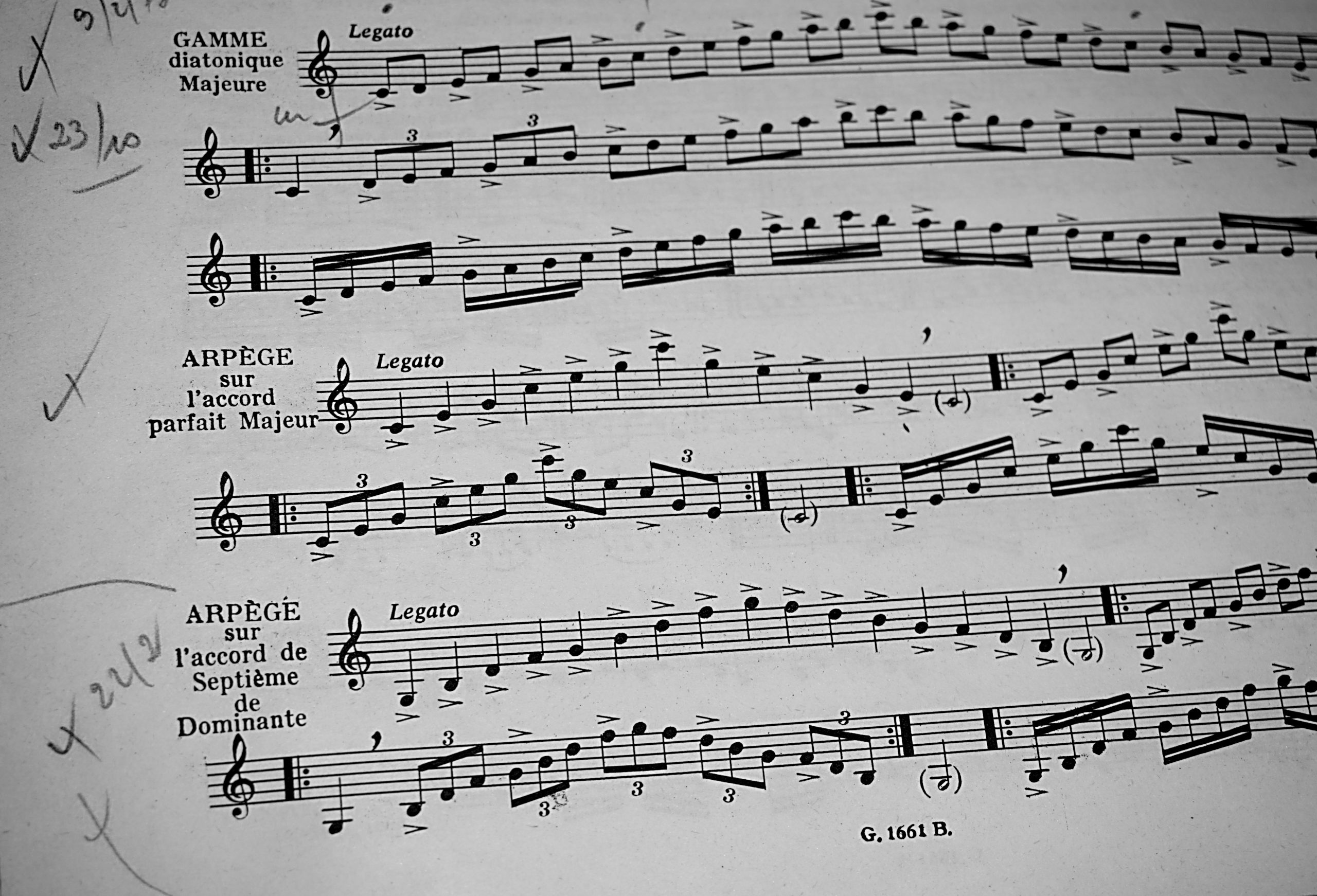 Armonie ad Airola: ‘Mille e una Nota’ celebra il suo venticinquesimo anniversario con un doppio concerto di giovani talenti.