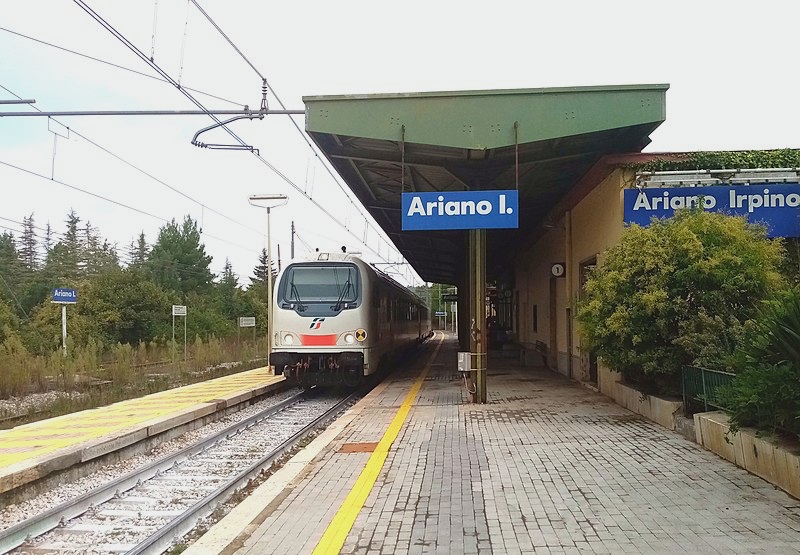 Ariano Irpino: Imprenditore Denunciato per Allevamento Illecito e Ricettazione di Animali