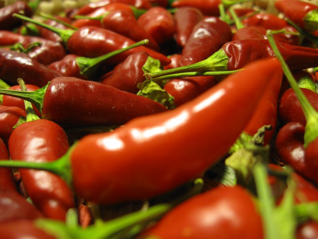 Orrore in un Nido Illegale: Piccoli Vittime di Torture, da Unghie Spezzate a Peperoncino negli Occhi