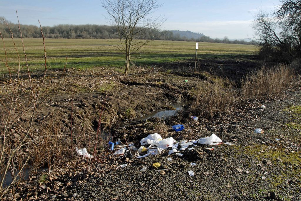 Avellino: Il Decoro Urbano Sotto Esame tra Negligenza e Nuove Abitudini
