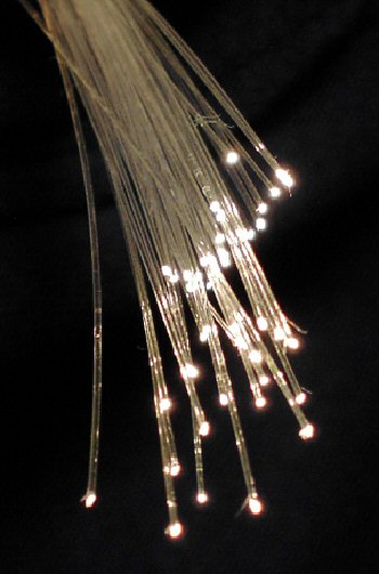 Avellino Connessa al Futuro: Il Piano Alta Velocità di Giuditta ai Vertici Nazionali