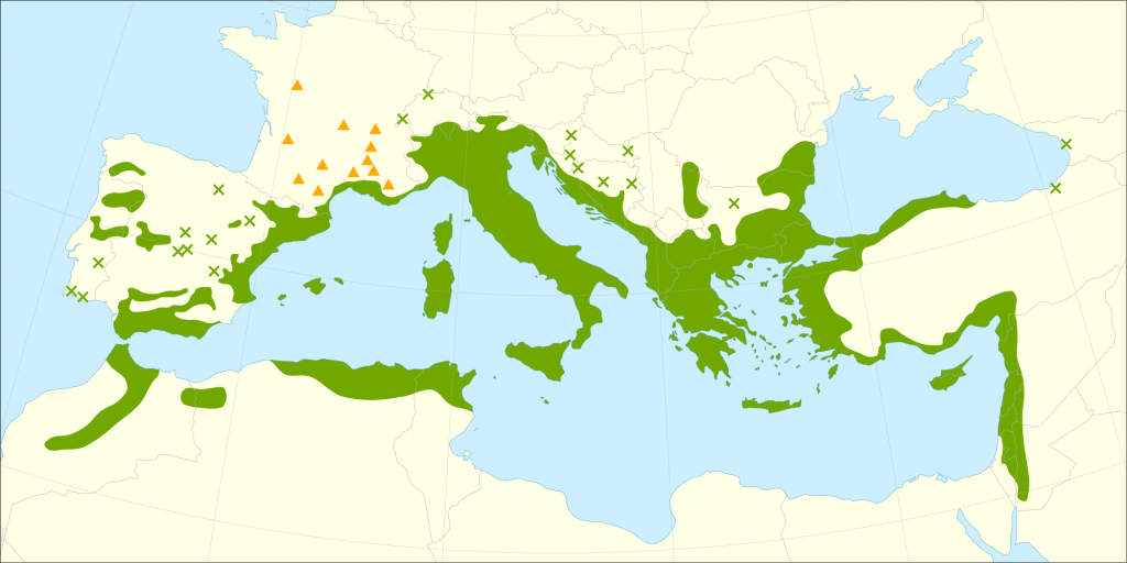 Le Prossime Variazioni delle Zone Regionali: Campania Verso la Conferma Gialla