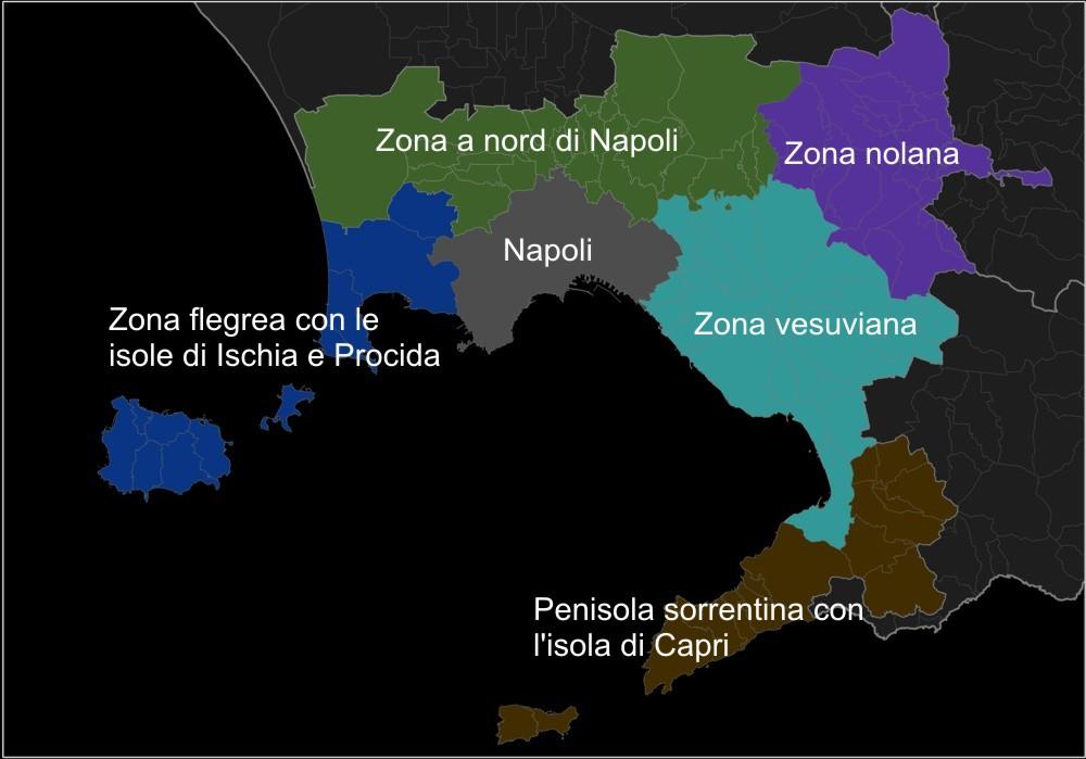 Il Ruolo Dominante dell’Area Metropolitana di Napoli nell’Epidemia COVID-19 in Campania