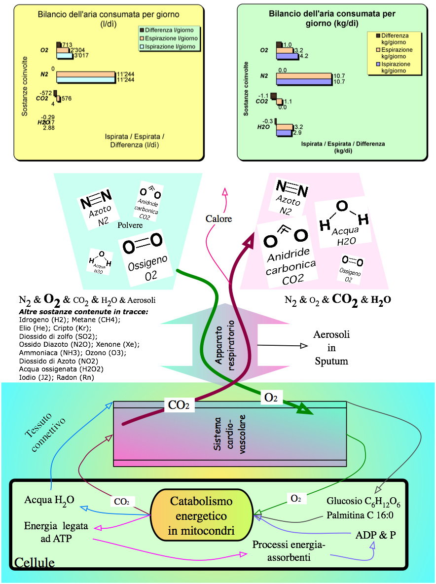 Il Covid miete una vita a Moschiano: 68enne si spegne al Moscati, 73 i ricoveri