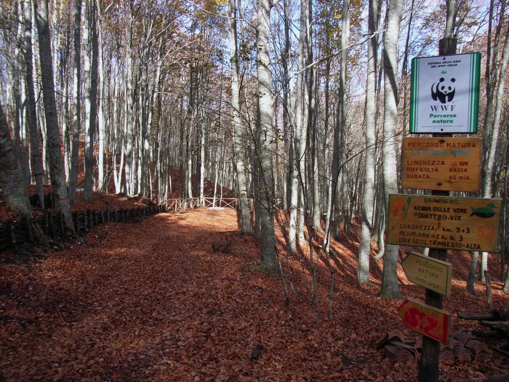 Pannarano in Lutto: Un 51enne Sconfitto dal Covid-19