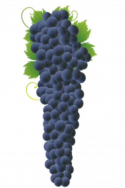 Sant’Agata de’ Goti Affida a Evangelista Campagnuolo la Rappresentanza nell’Associazione Nazionale Città del Vino
