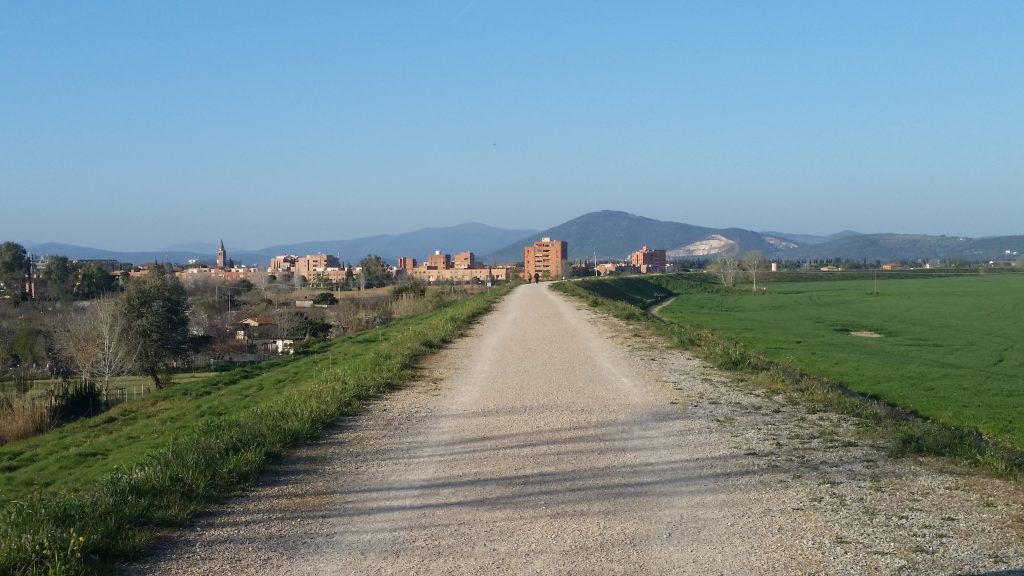 Intervento Decisivo a Tutela dell’Ufita: Sinergia tra Consorzio e Provincia per la Sicurezza Idrogeologica Irpina