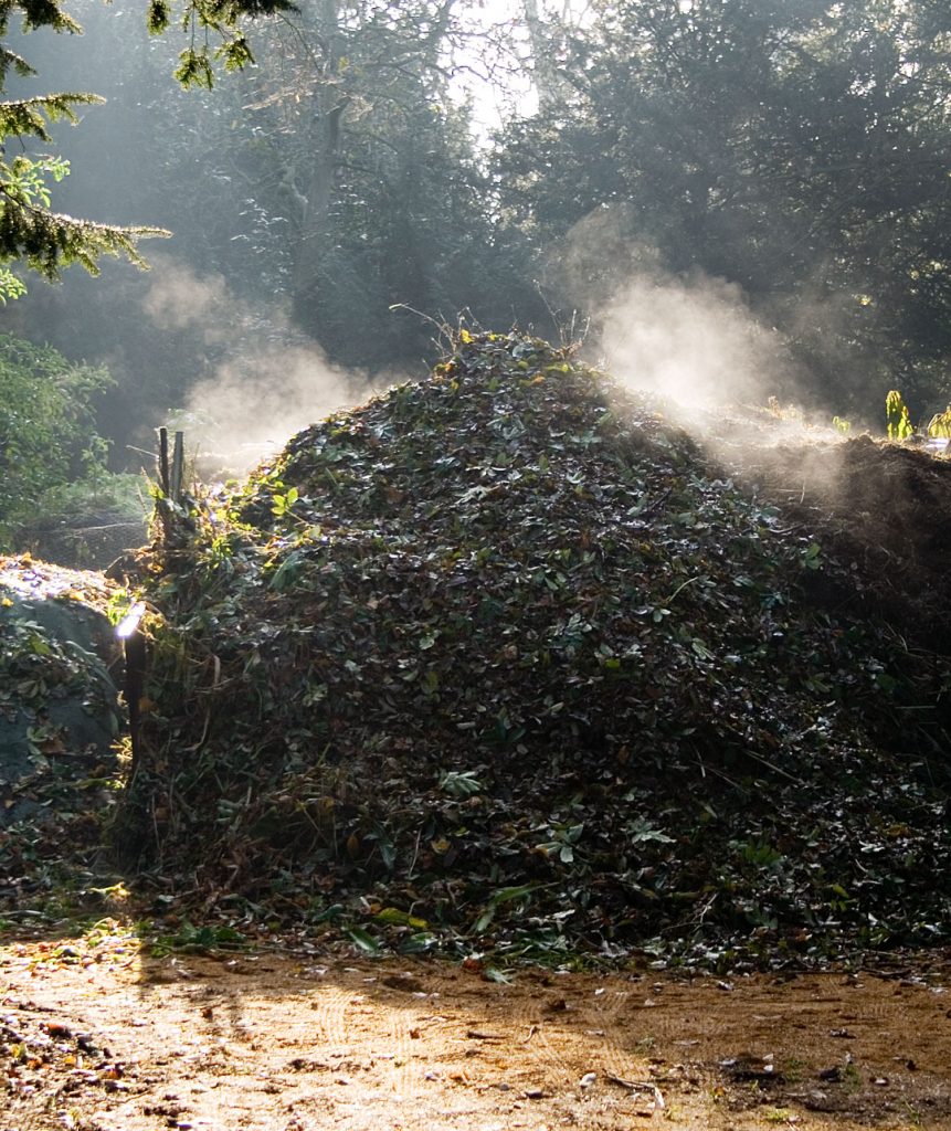 Sassinoro: L’Impianto di Compostaggio Controverso Sotto la Lente di Sandra Lonardo