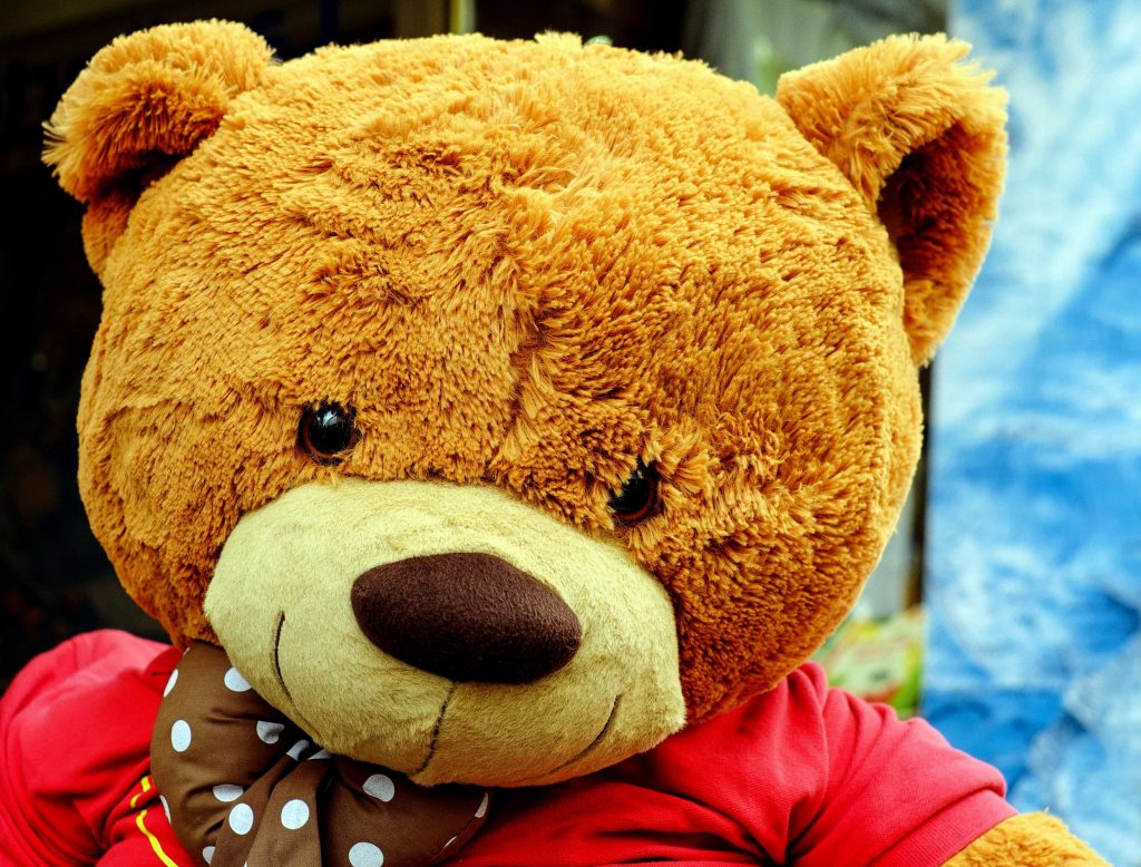 Dramma in Irpinia: Cavallo Ferisce Gravemente un Bimbo di 18 Mesi, Ora Ricoverato in Condizioni Critiche
