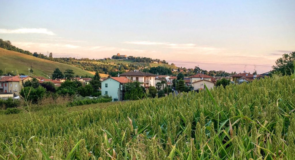 Lacedonia: Imprenditore Agricolo Deferito per Irregolarità Edilizie e Sospetto Amianto