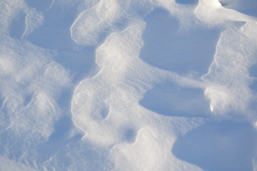 Irpinia sotto la neve: Oltre trenta interventi per i Vigili del Fuoco di Avellino in poche ore.