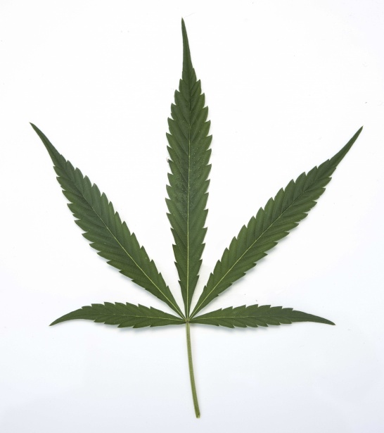 Operazione Antidroga a Baiano: 45enne in Manette con Marijuana Sotterrata e Armi Bianche