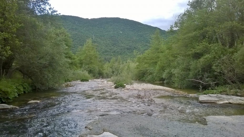 Successo investigativo: recuperati mezzi rubati al Parco Volturno di Amorosi, un 65enne deferito.