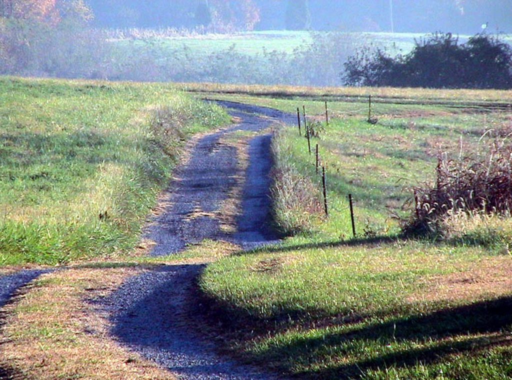 Focus sulle Aree Interne: La Giunta Regionale Investe nella Viabilità e nel Futuro dei Borghi