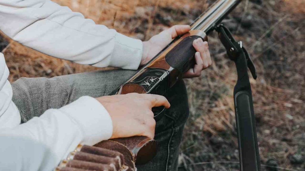 Fucile - pexels - retesei