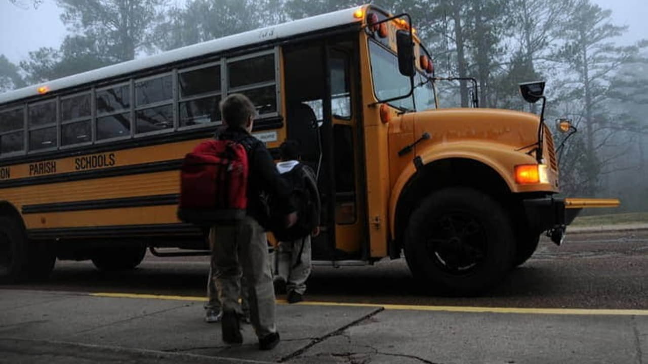 Il bus scolastico - Foto Pixabay - Retesei.com