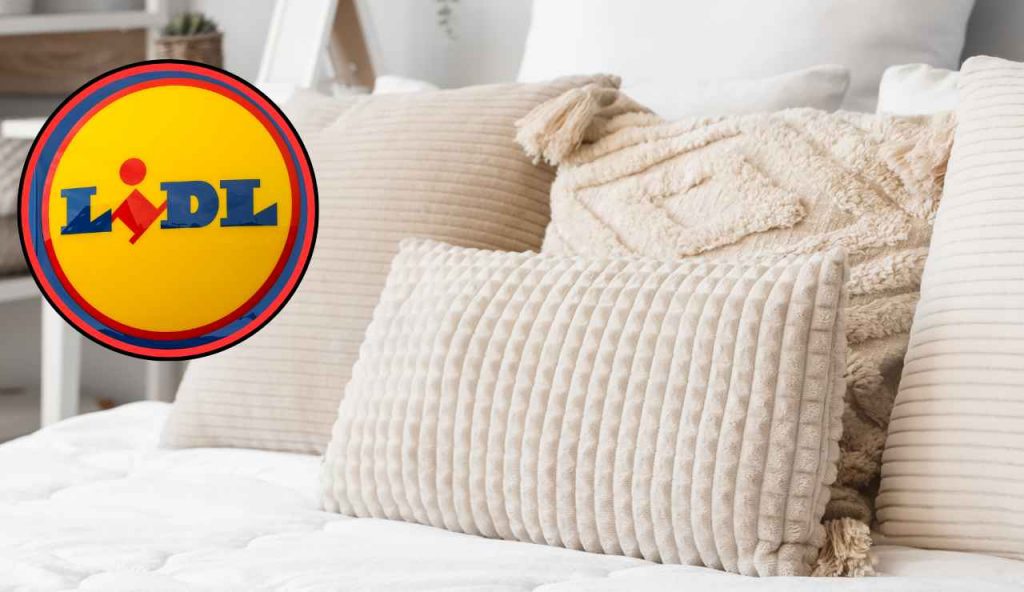 Lidl meglio di Eminflex, rifatti il letto nuovo con soli 8,99€ | Dormi come un Re e dimenticati di cervicale e mal di schiena